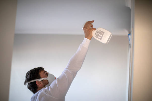 Best White Mold Remediation in New Rochelle, NY