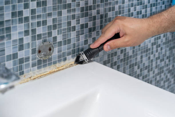 Best Industrial Mold Remediation in New Rochelle, NY